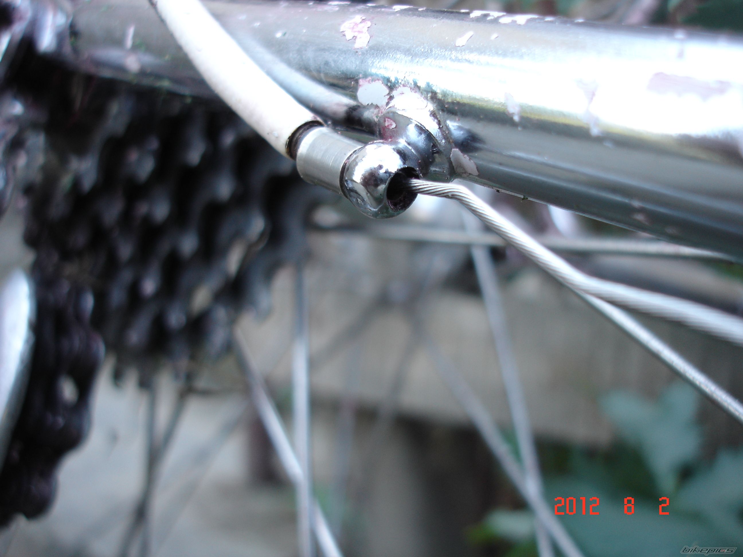 Photo 2436719