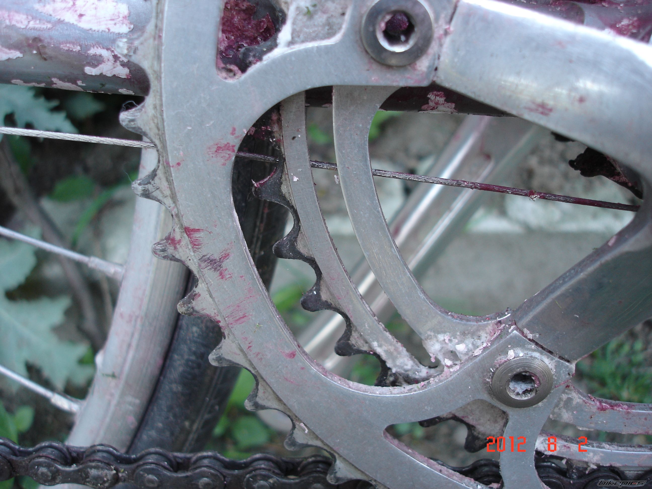Photo 2436720