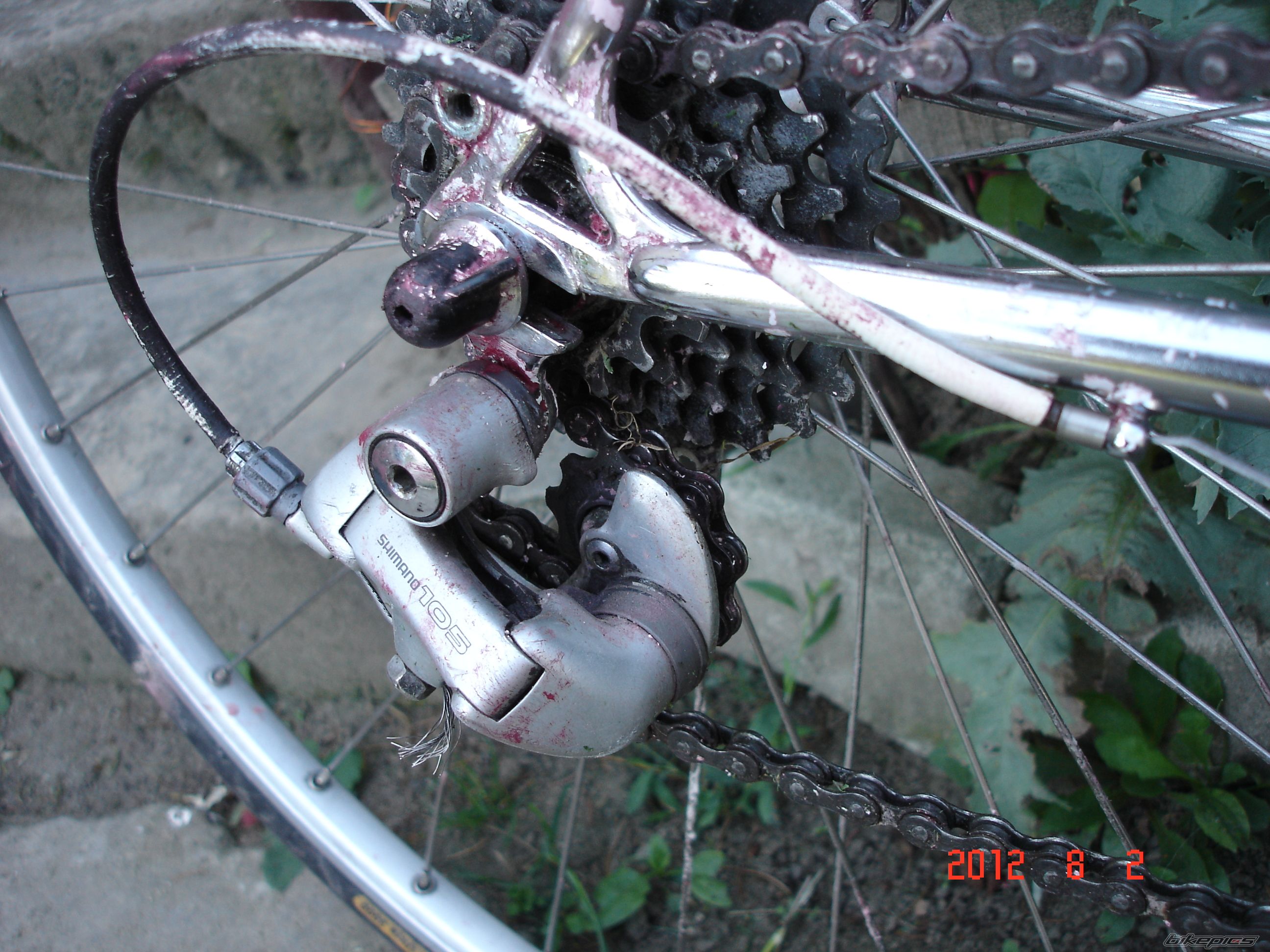 Photo 2436721
