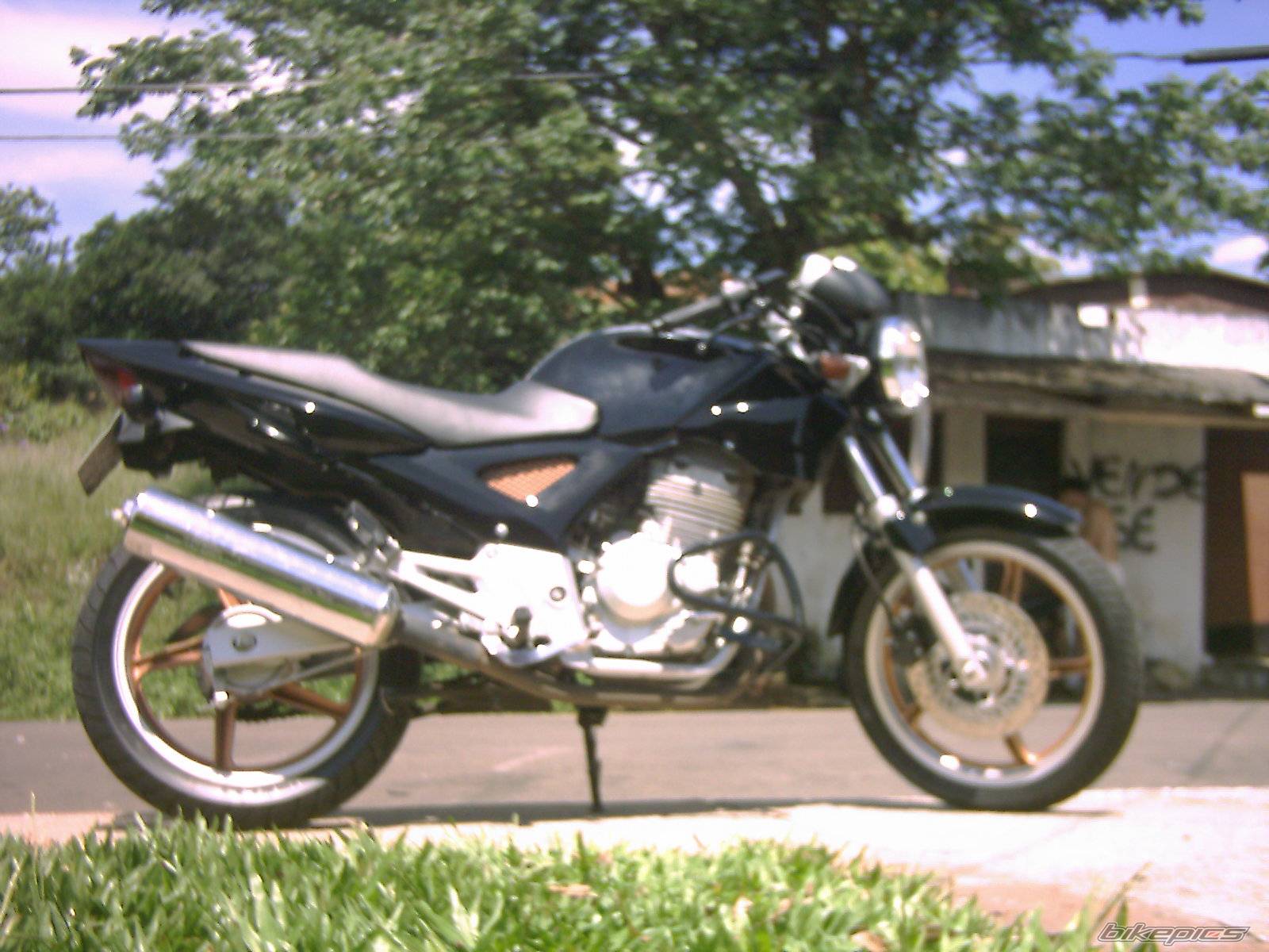 Bike Photo 243686