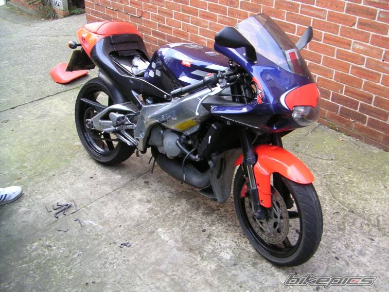 Photo 243691