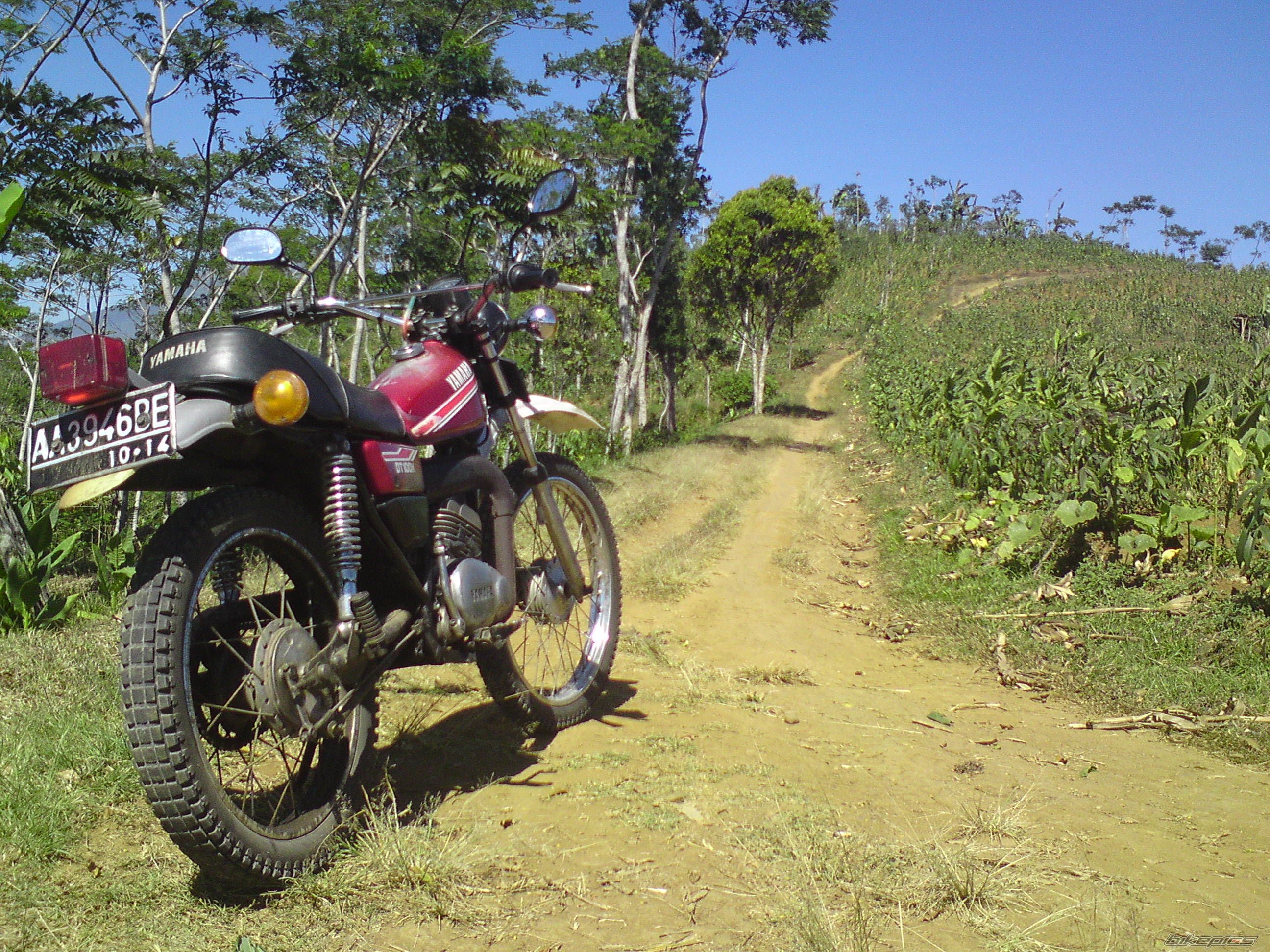 Photo 2436915