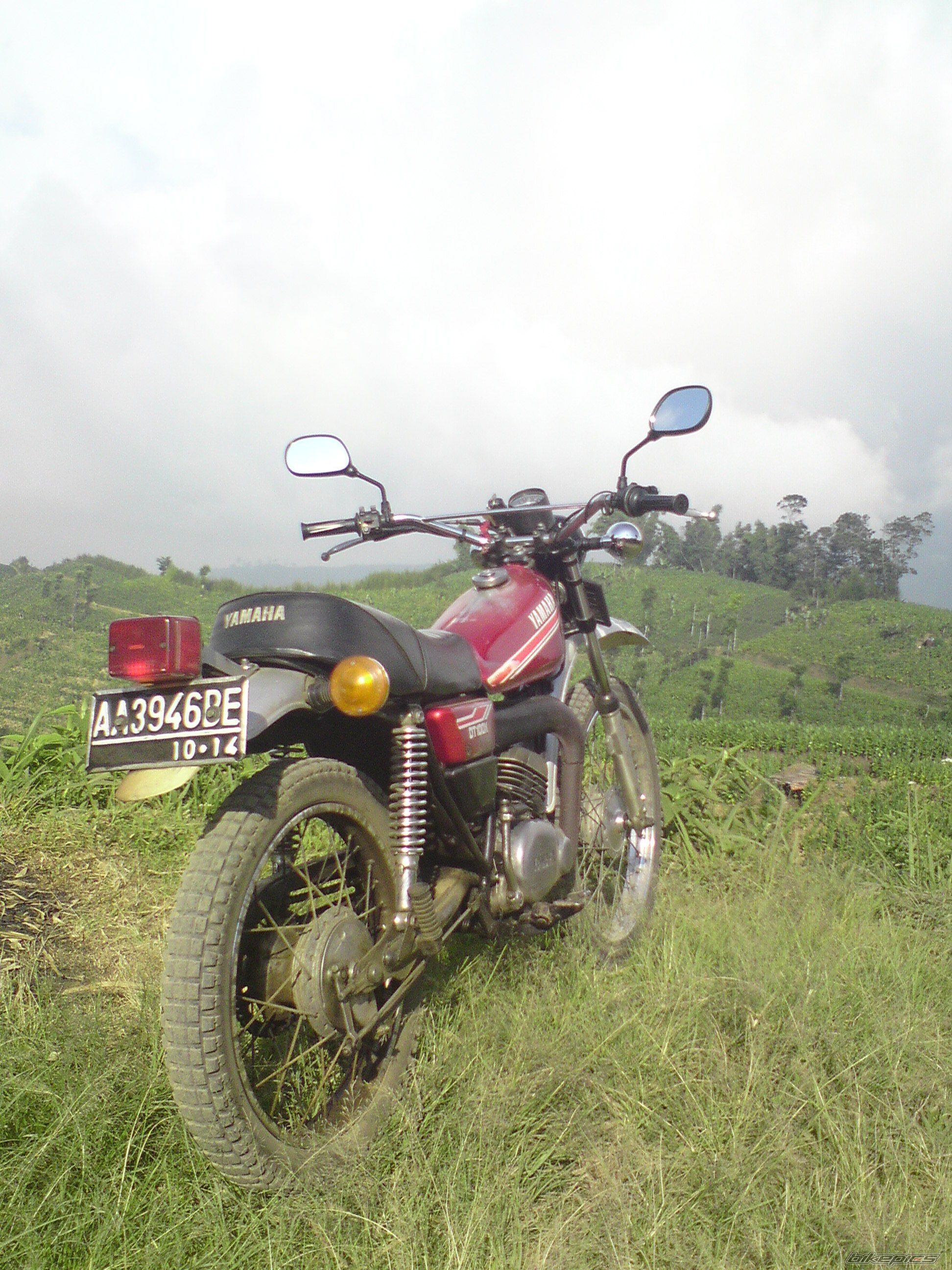 Photo 2436928