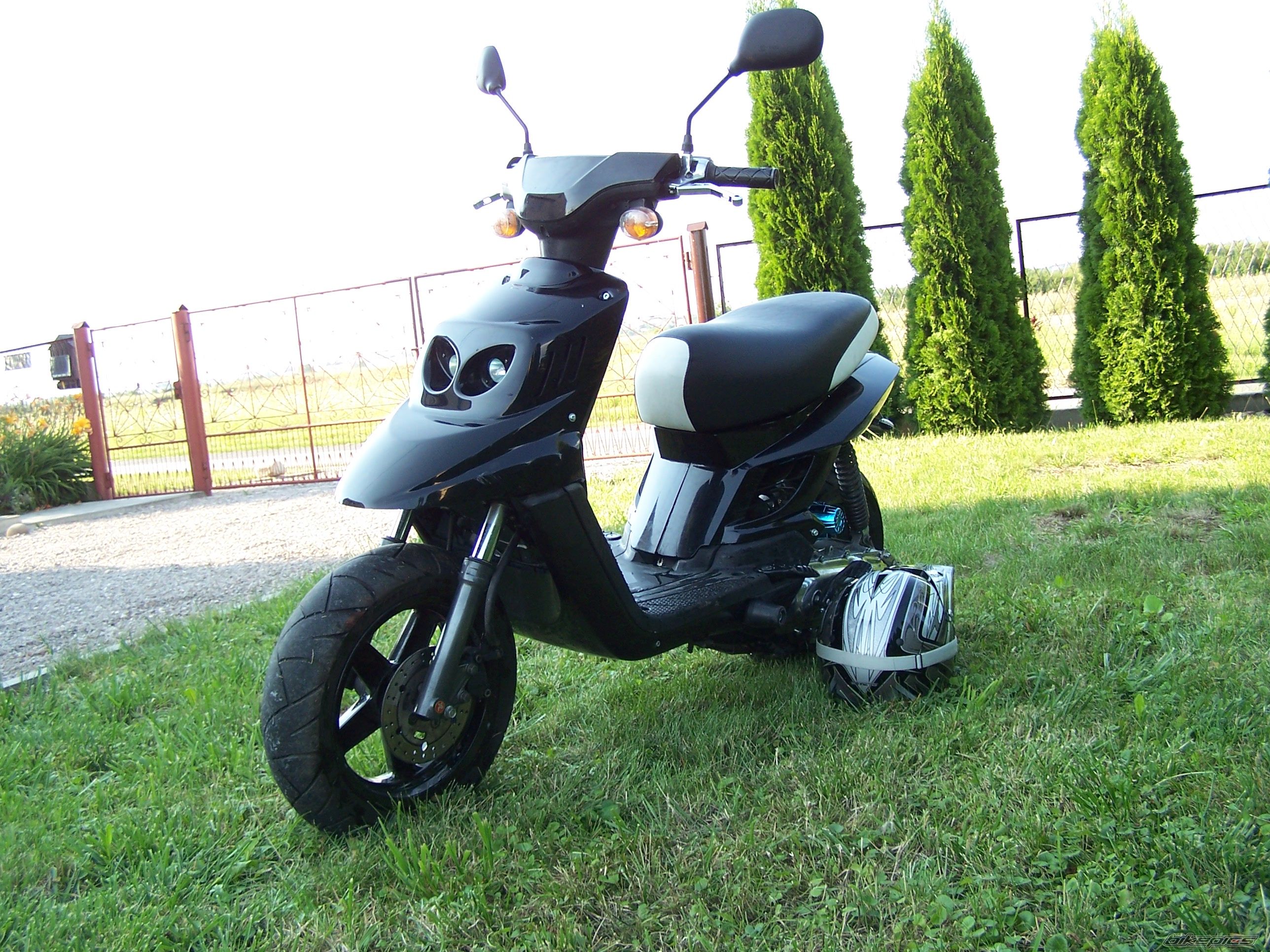 Photo 2436950