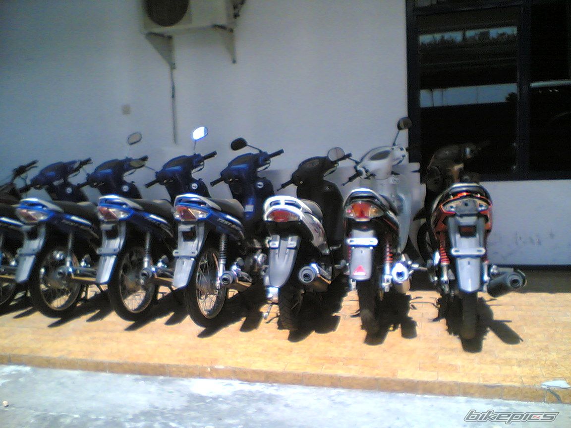 Photo 2436954