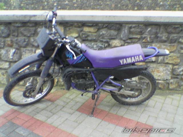 Photo 243703