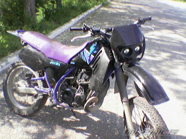 Photo 243709