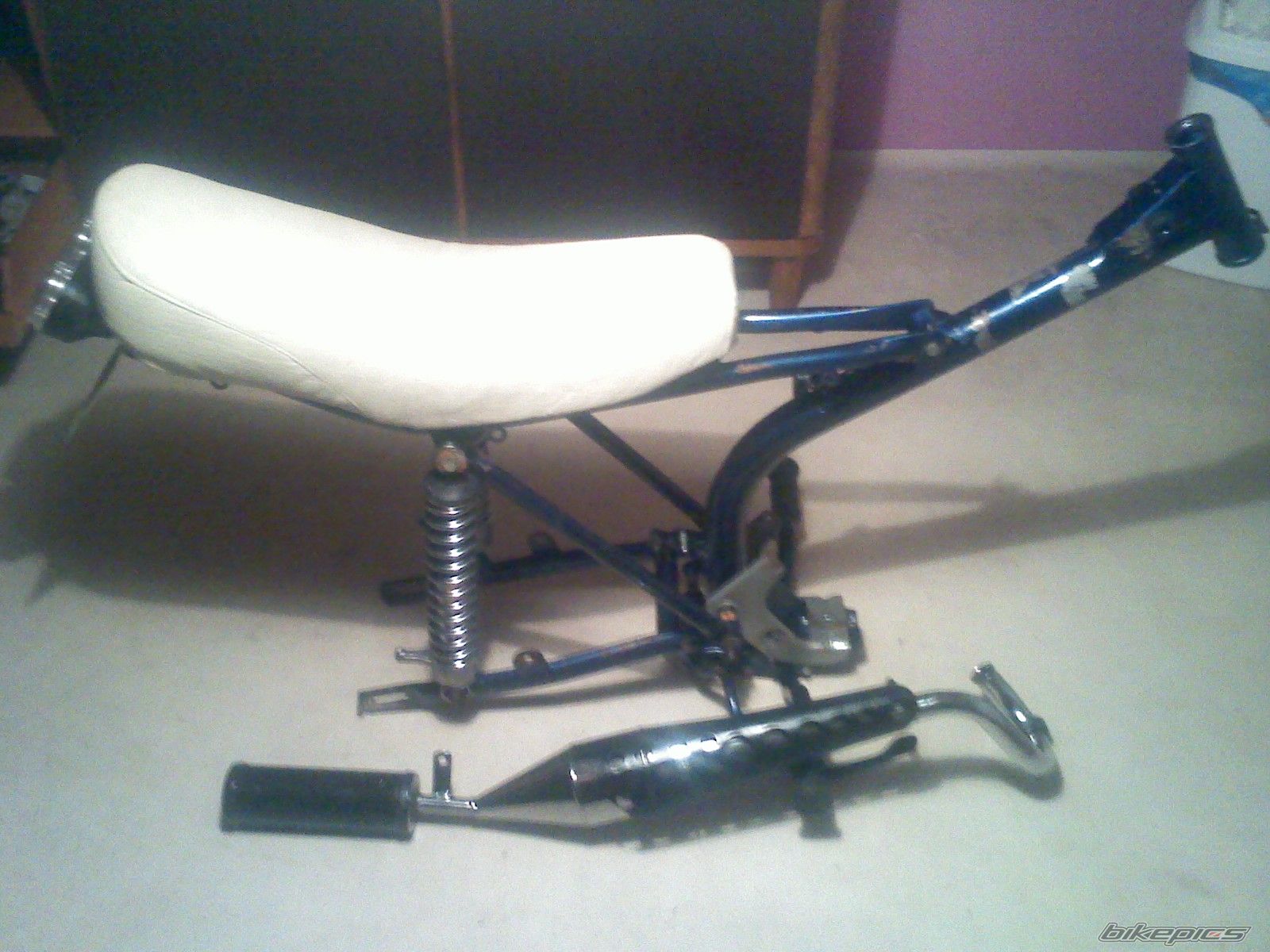 Photo 2437146
