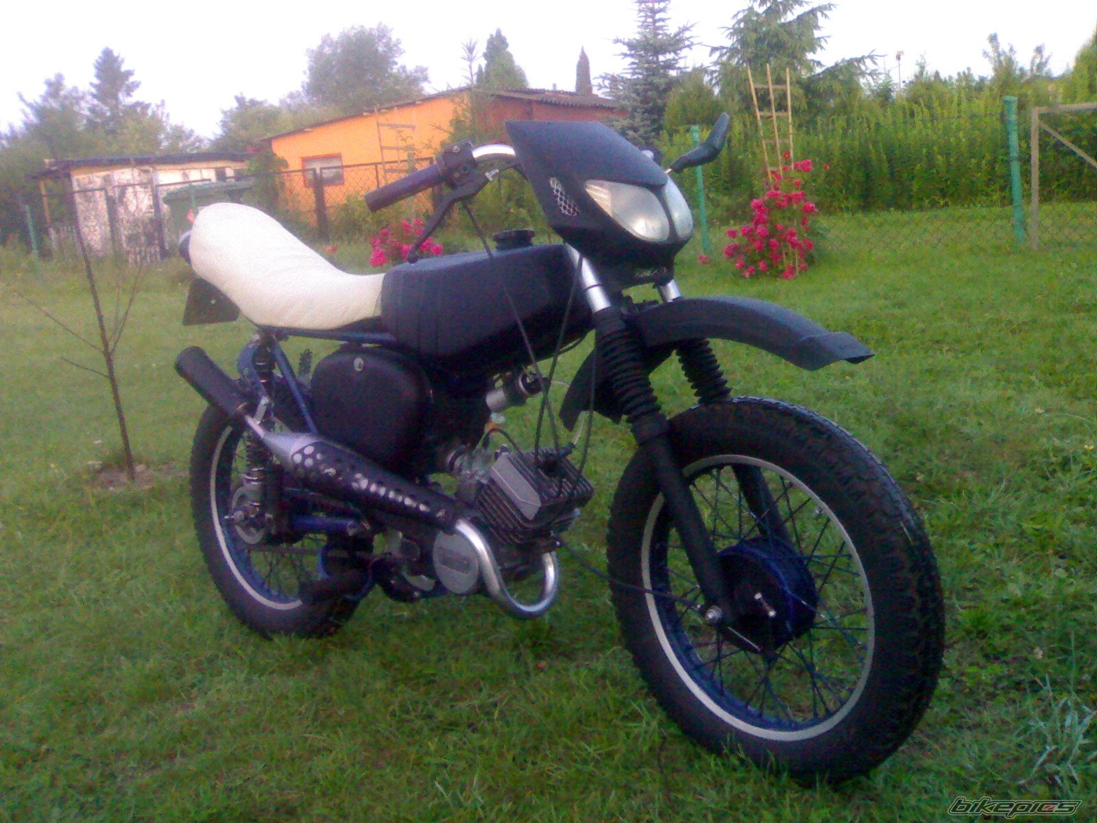 Photo 2437169