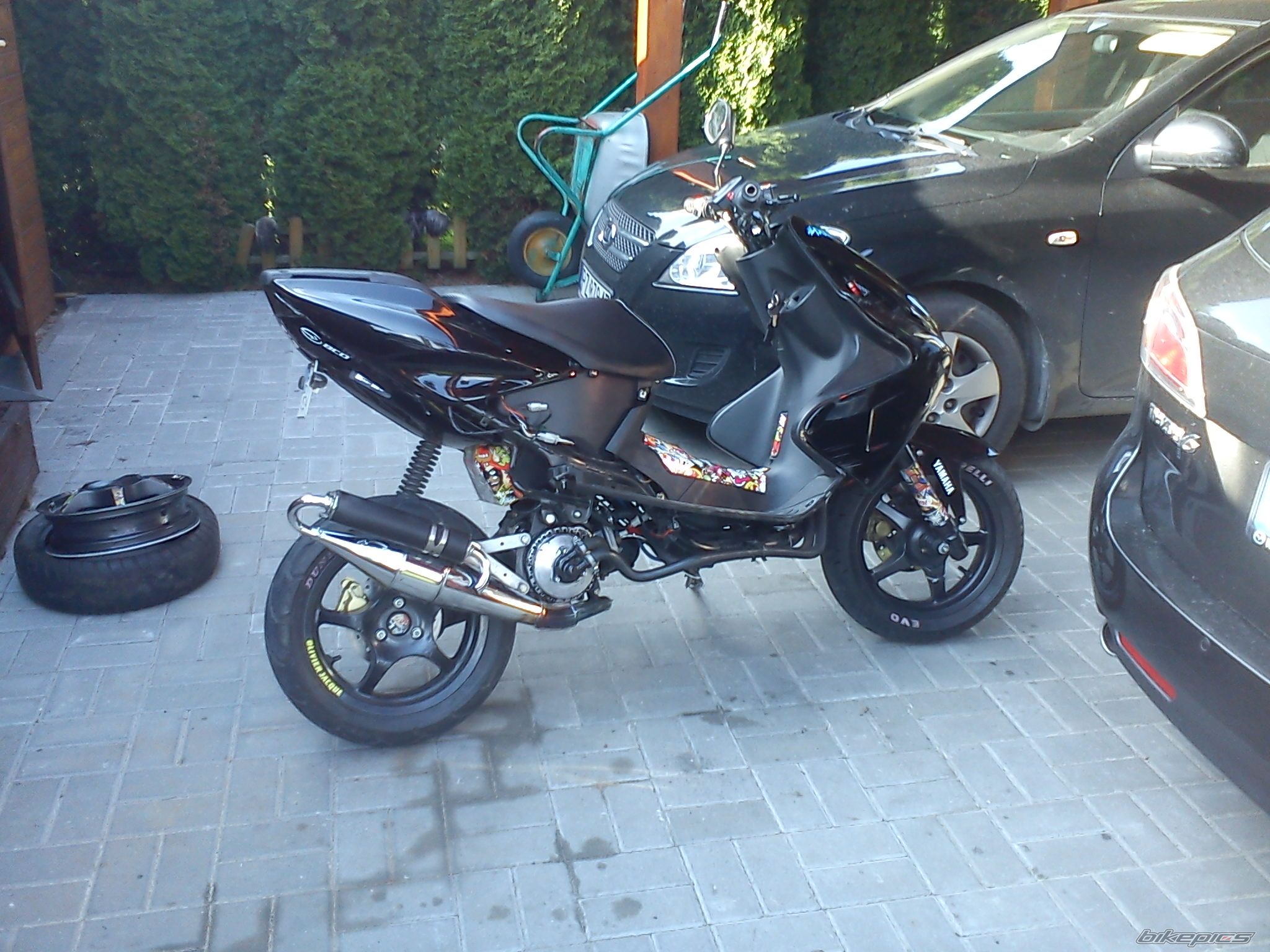 Photo 2437204