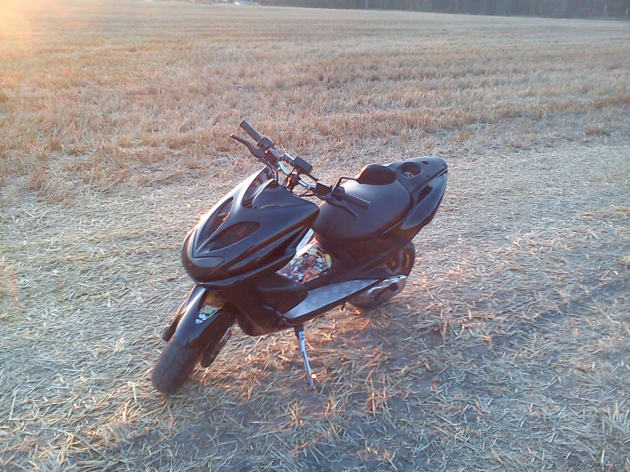 Photo 2437207