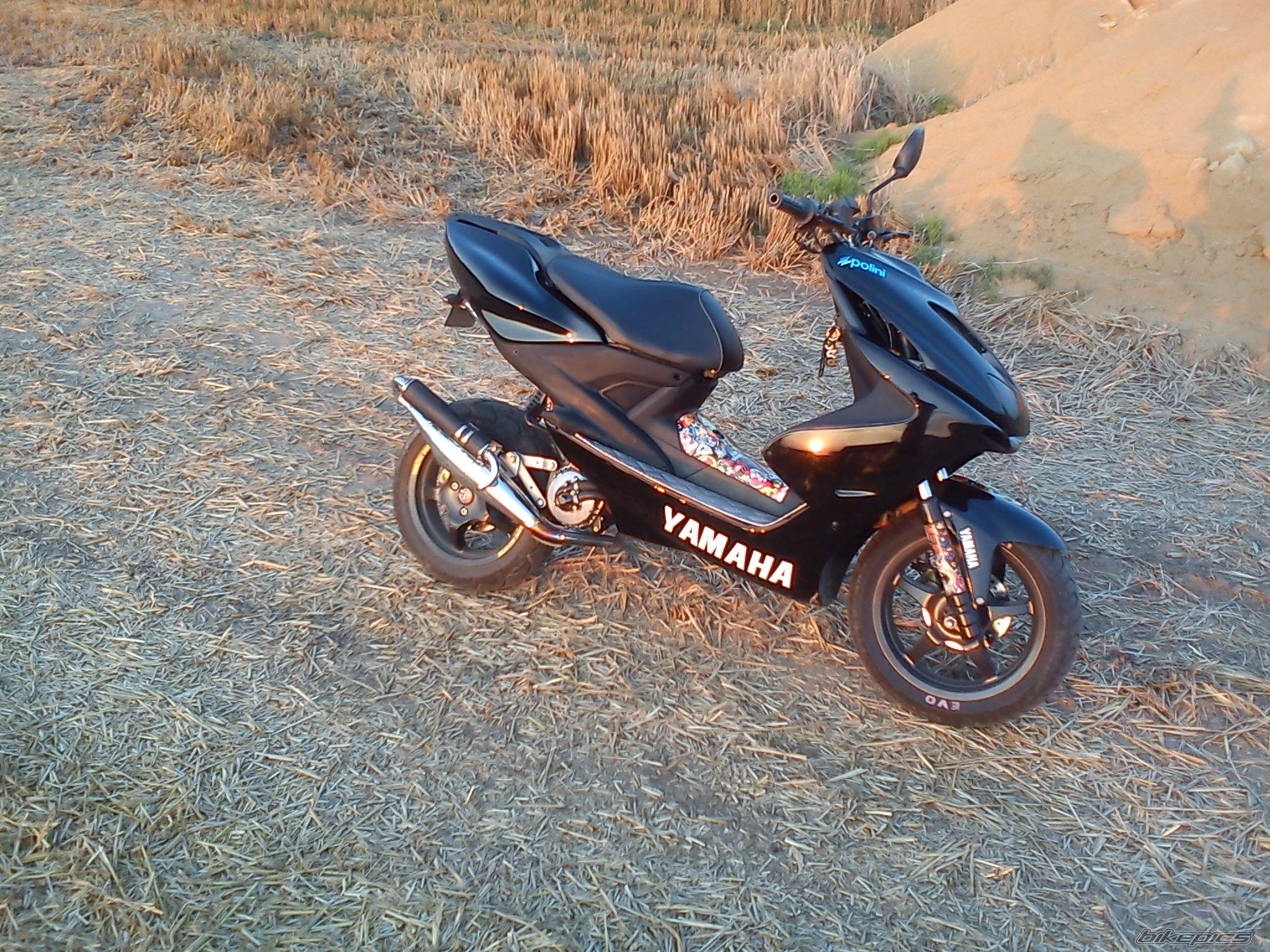 Photo 2437209