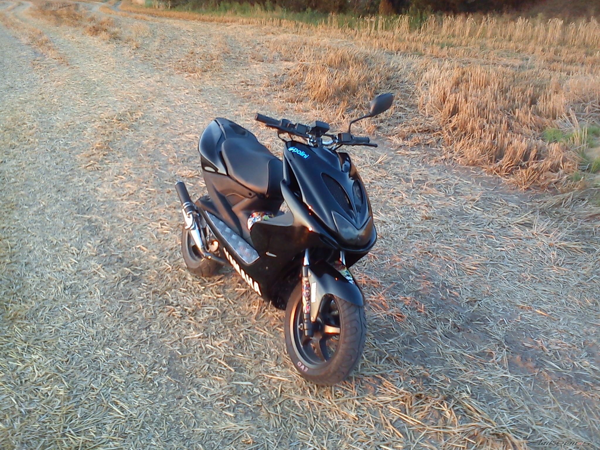 Photo 2437210