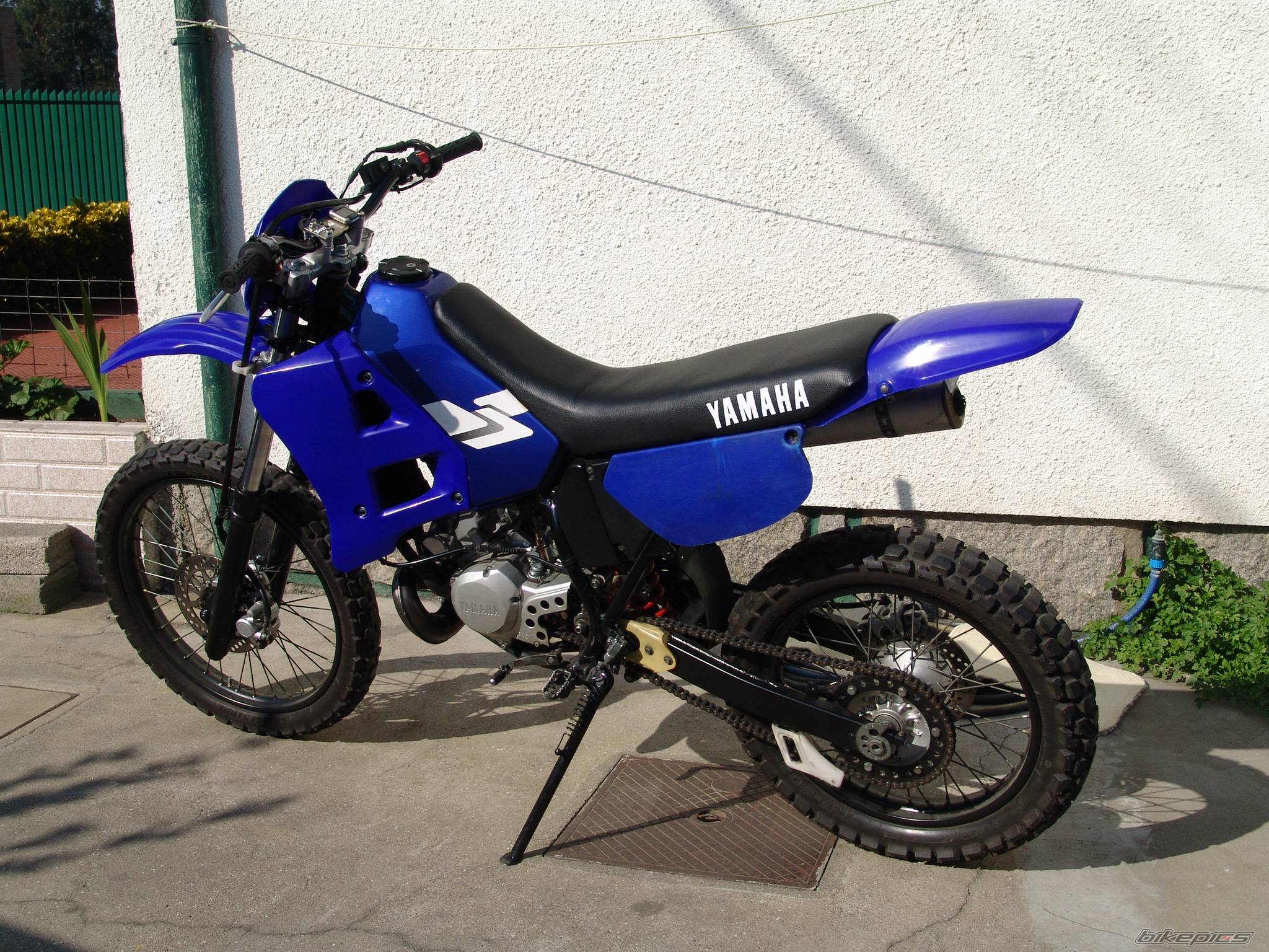 Photo 243731
