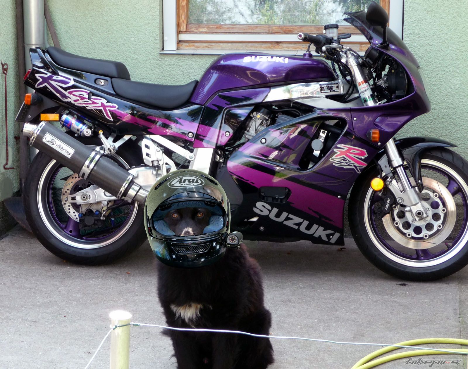 Bike Photo 2437382