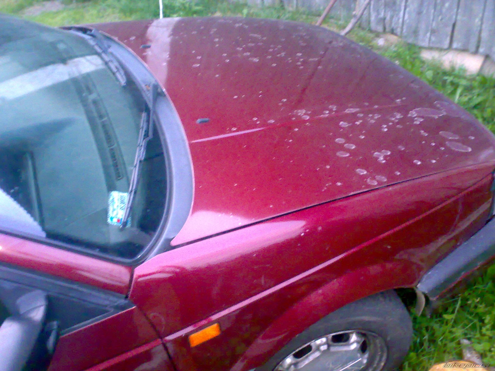 Photo 2437401