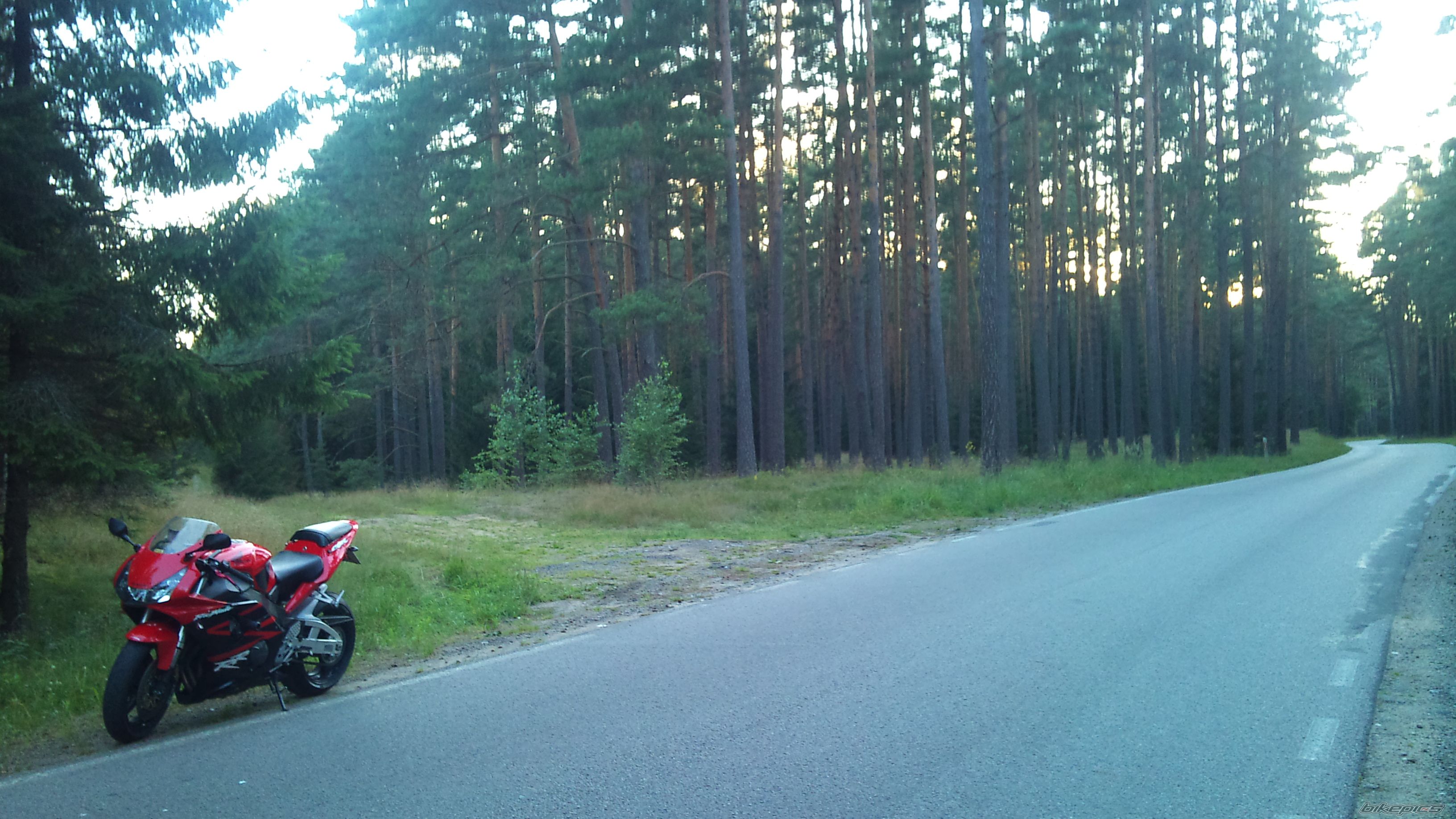 Photo 2437451