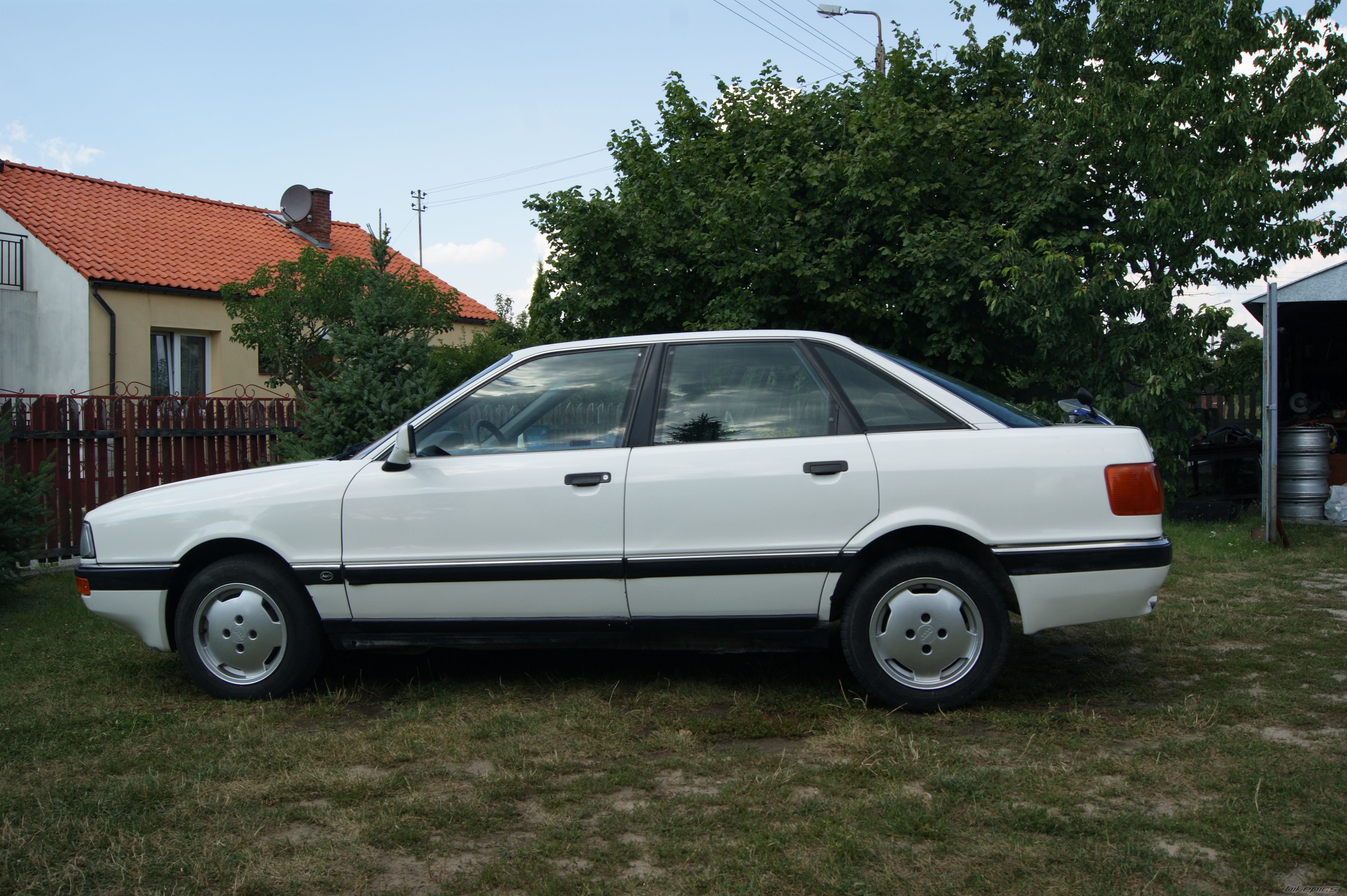 Photo 2437457