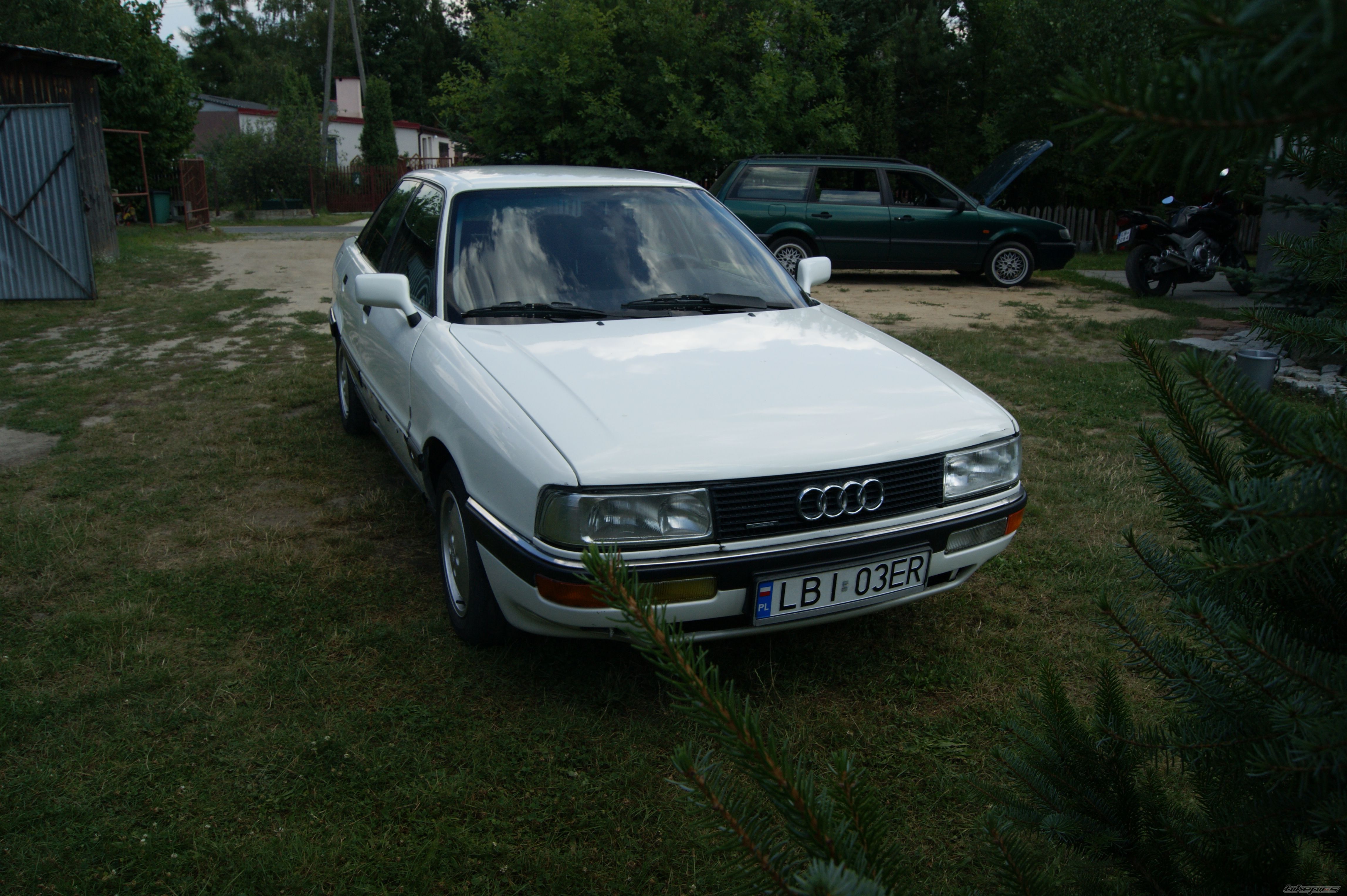 Photo 2437459