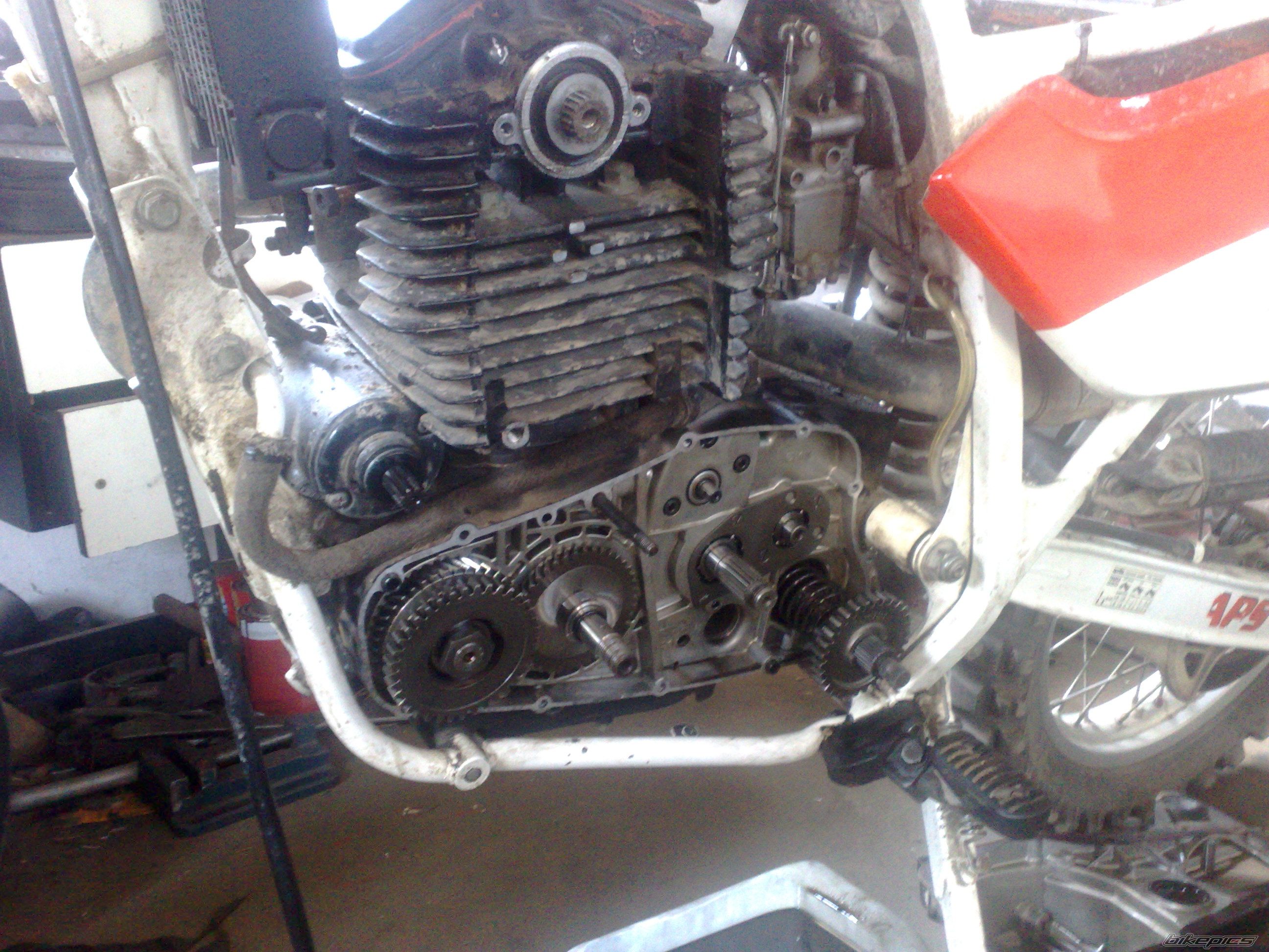 Photo 2437535