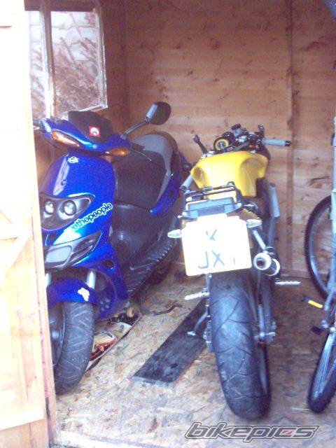 Photo 243755