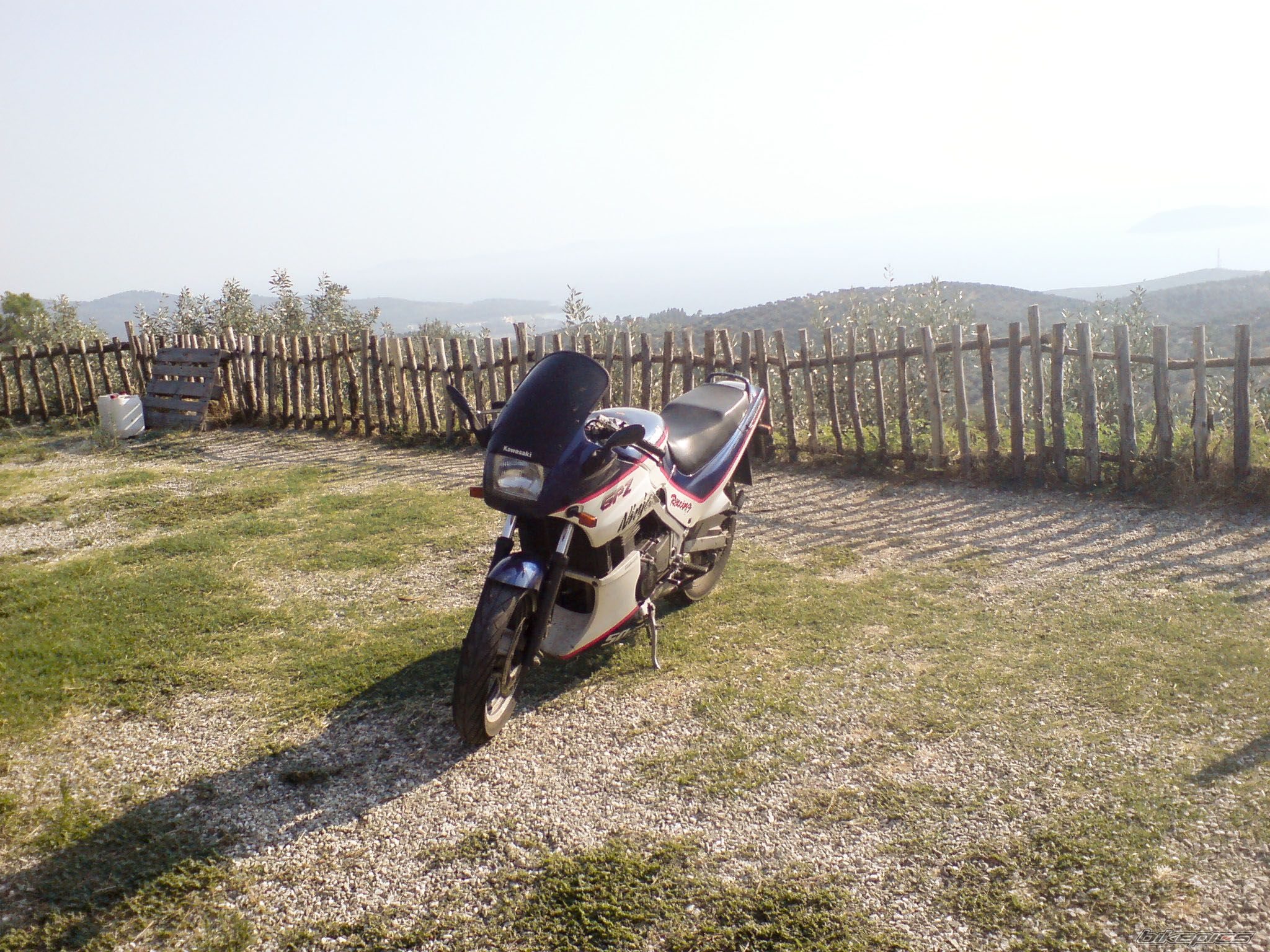 Photo 2437669