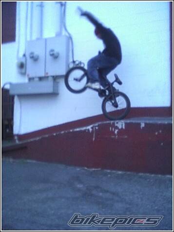 Photo 243768