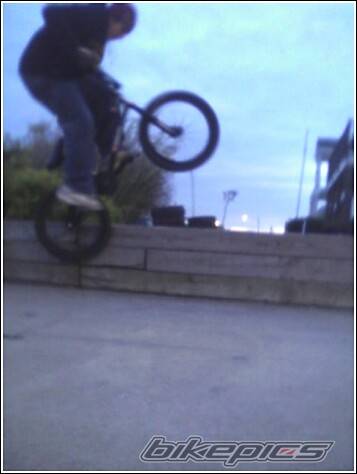 Photo 243769
