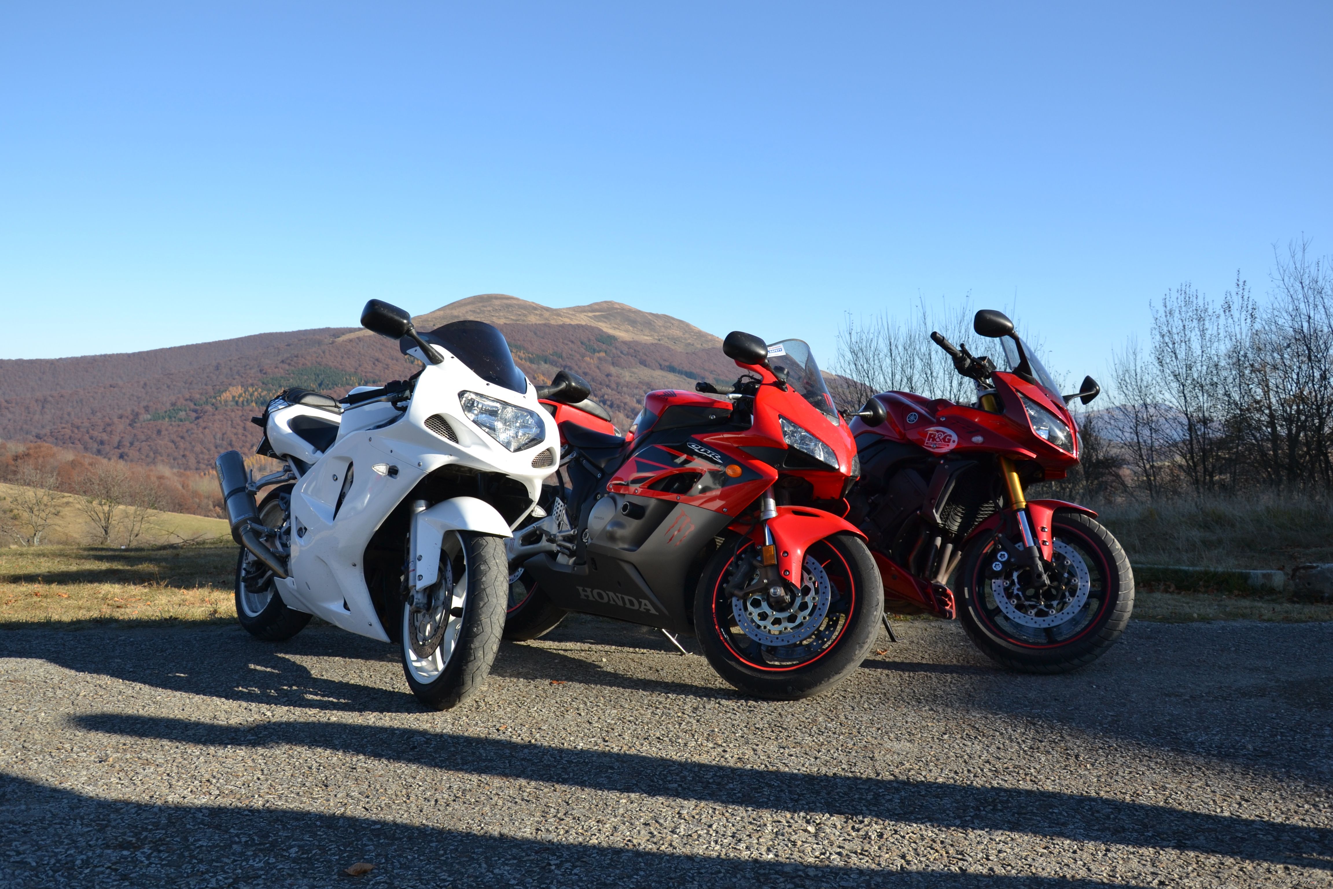Photo 2437698