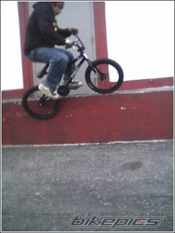 Photo 243771