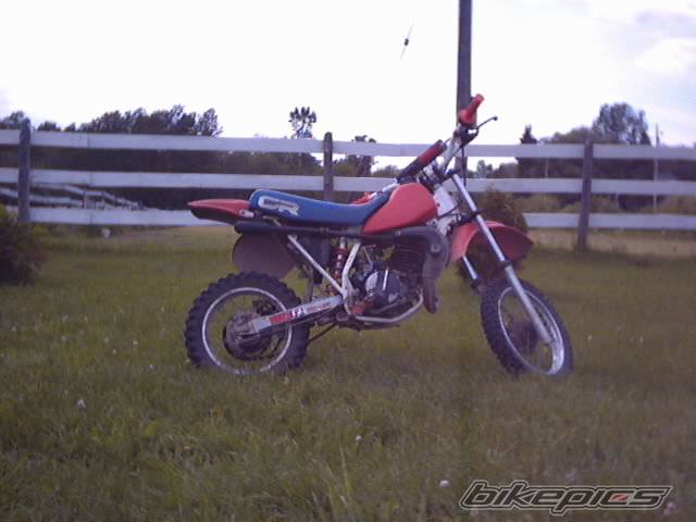 Photo 243780