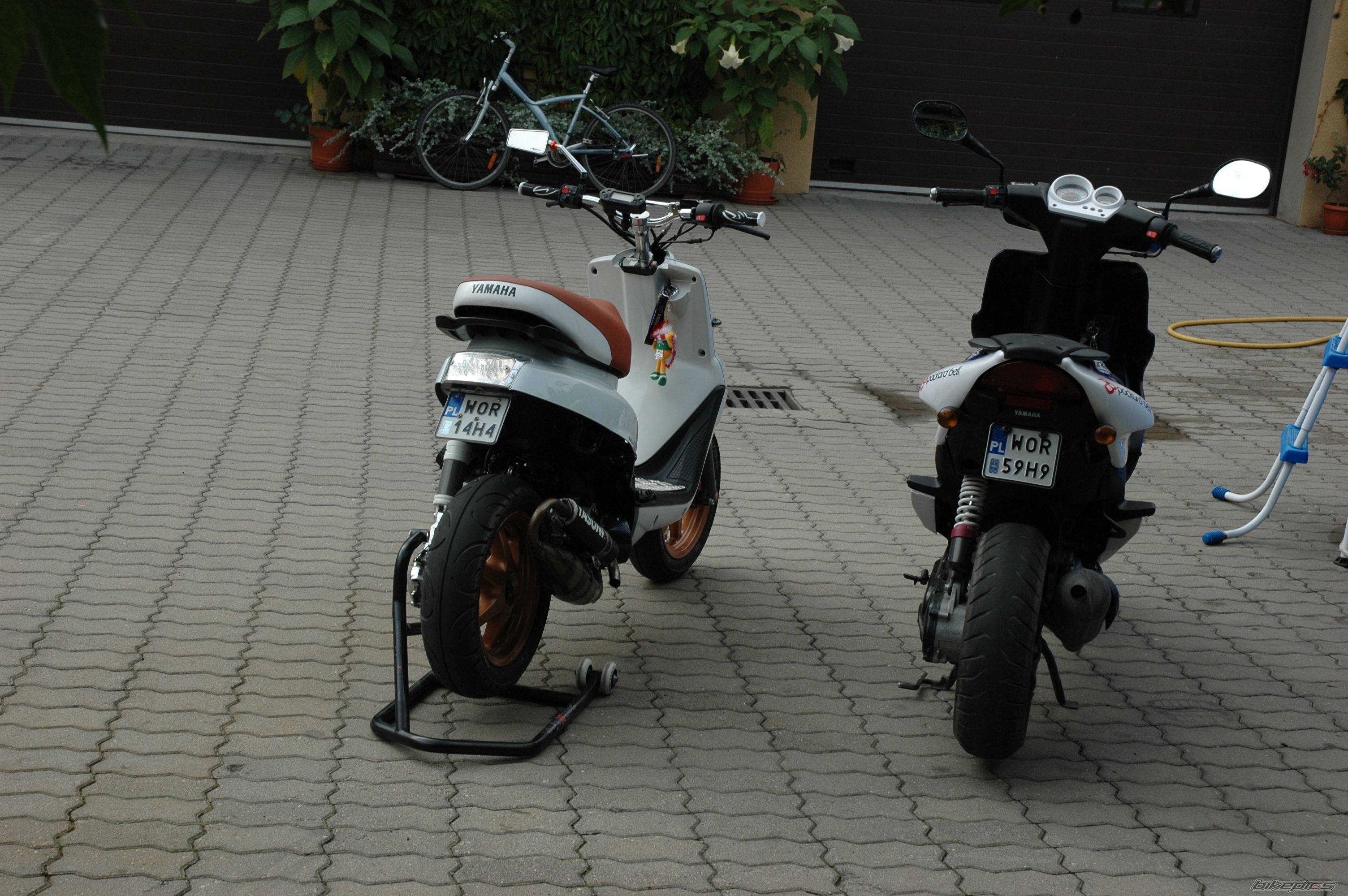 Photo 2437877