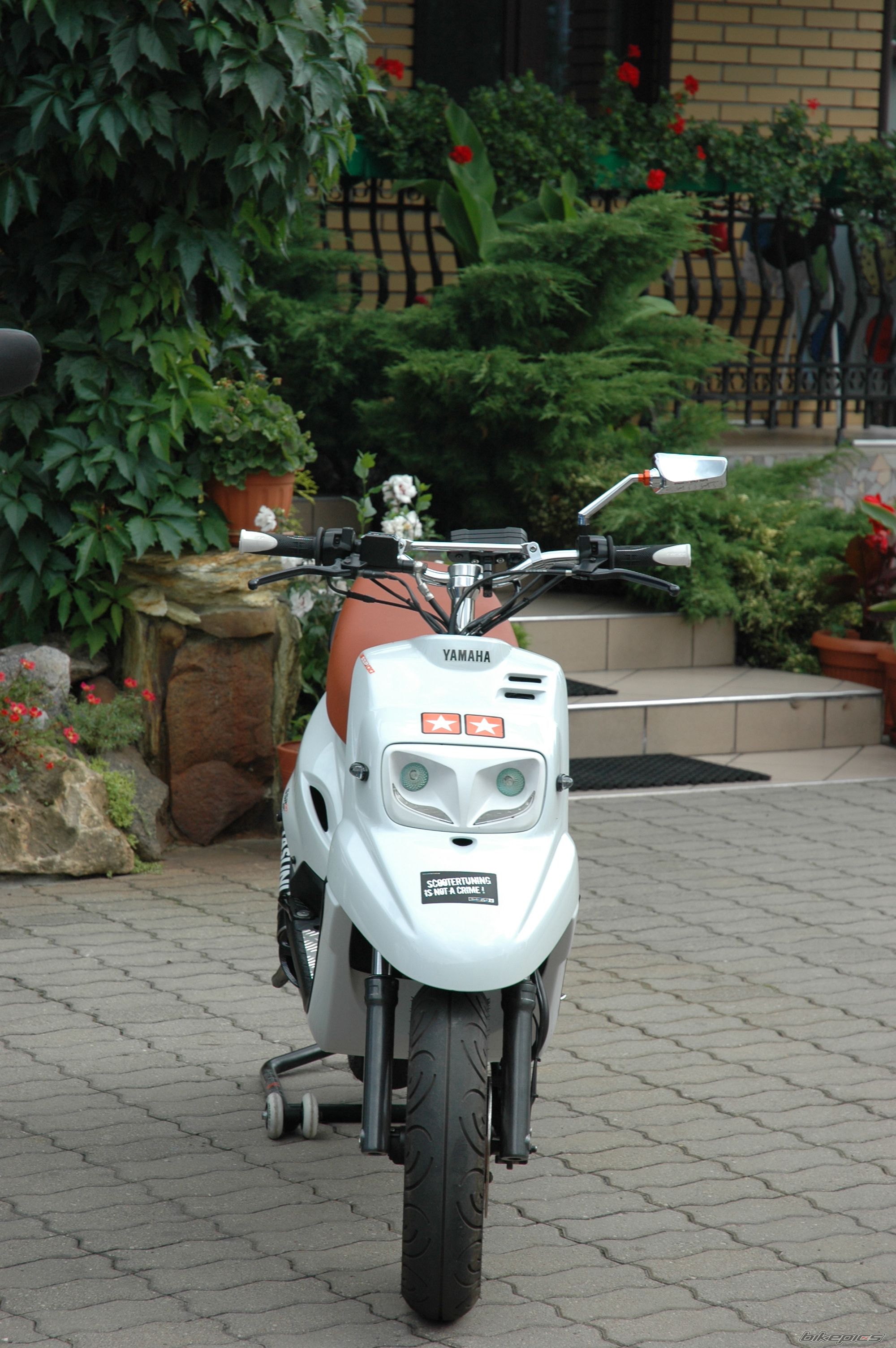 Photo 2437878