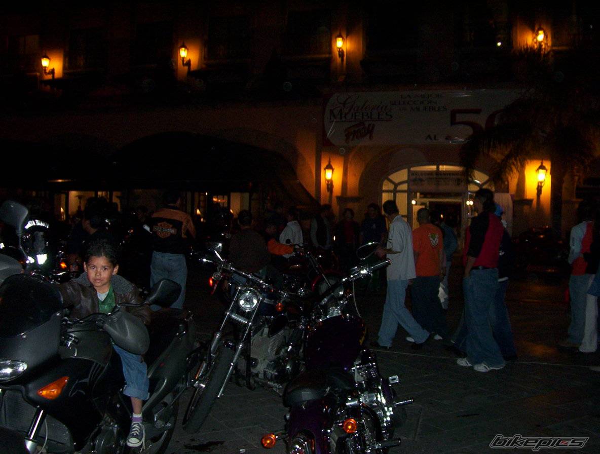 Photo 243796