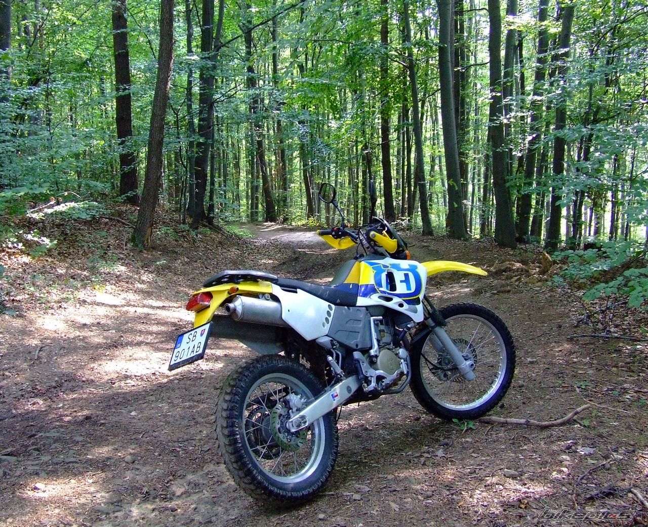 Bike Photo 2438022