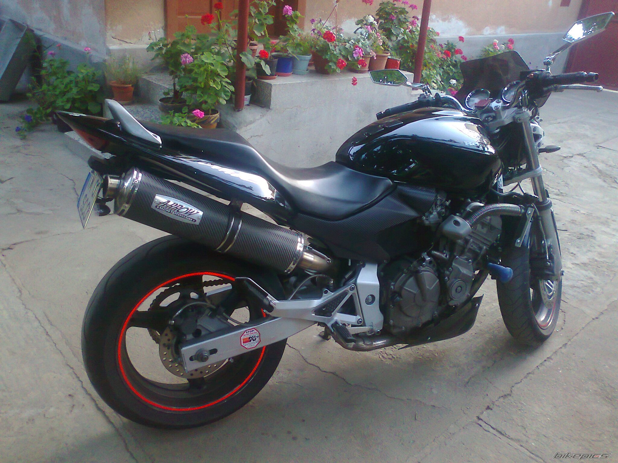 Photo 2438031