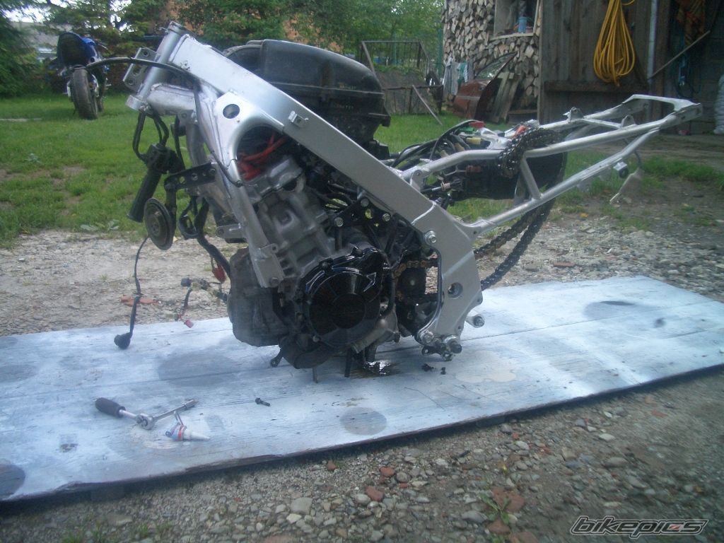 Photo 2438080