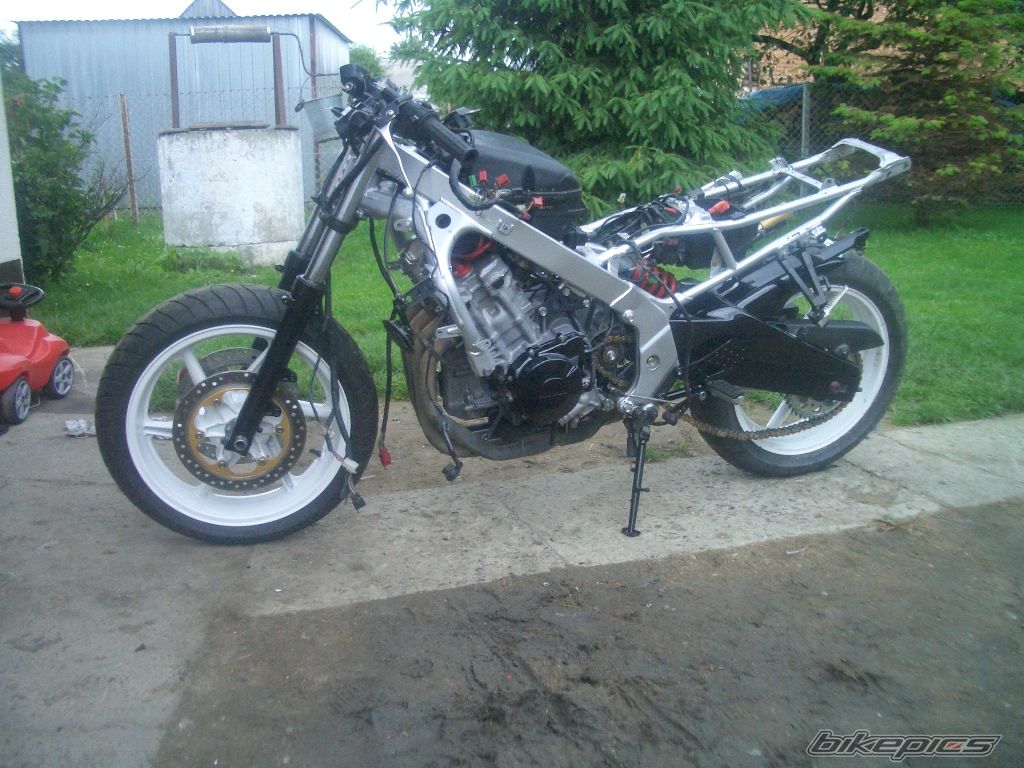 Photo 2438087