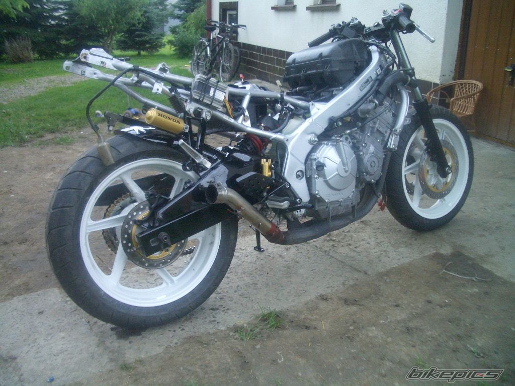 Photo 2438089