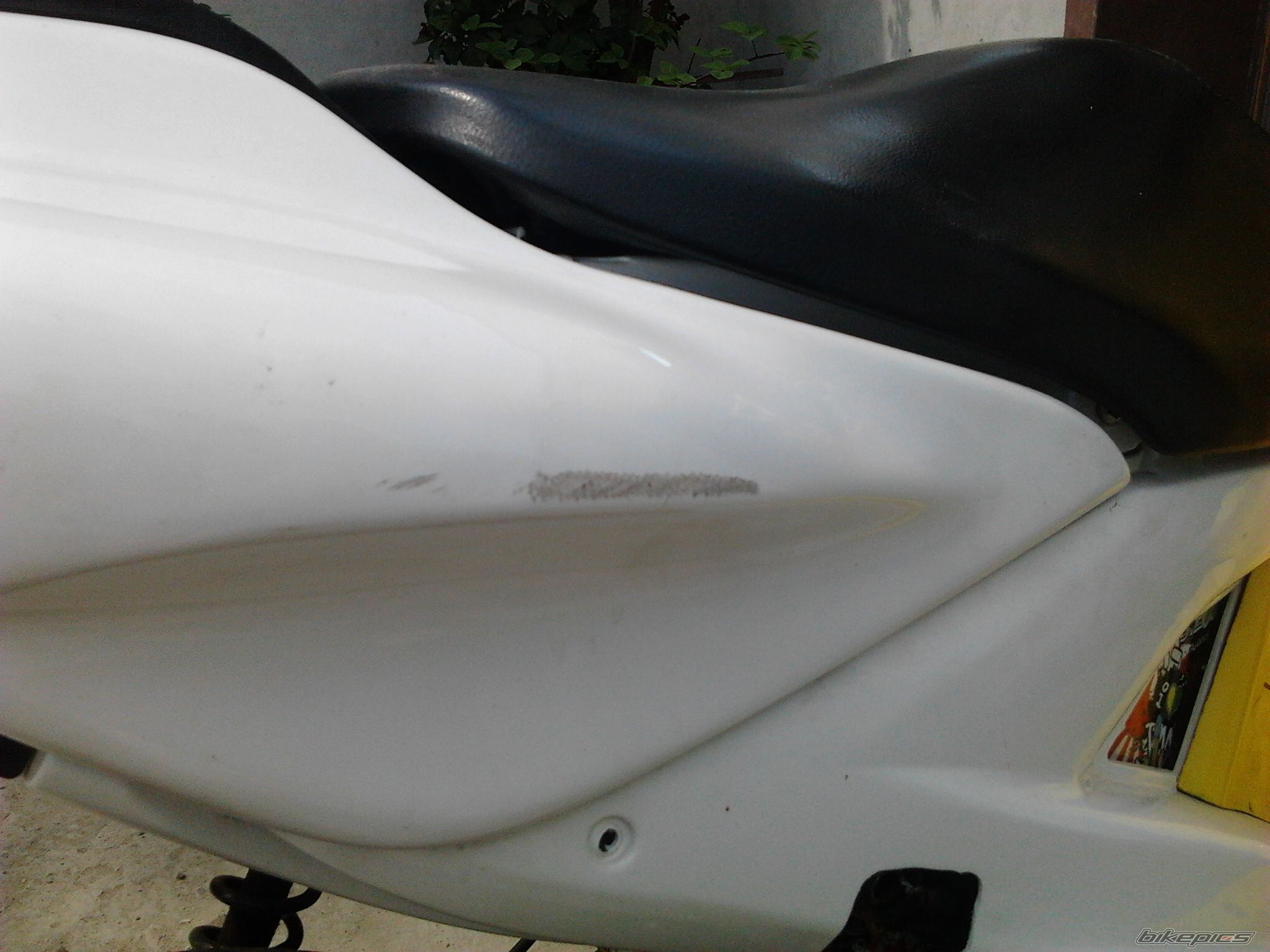Photo 2438125