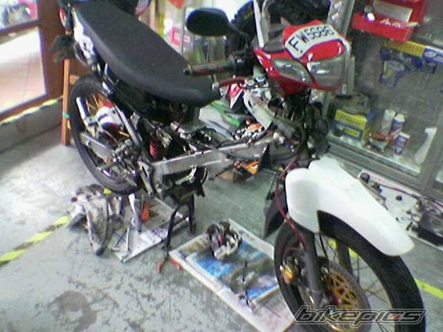 Photo 243821