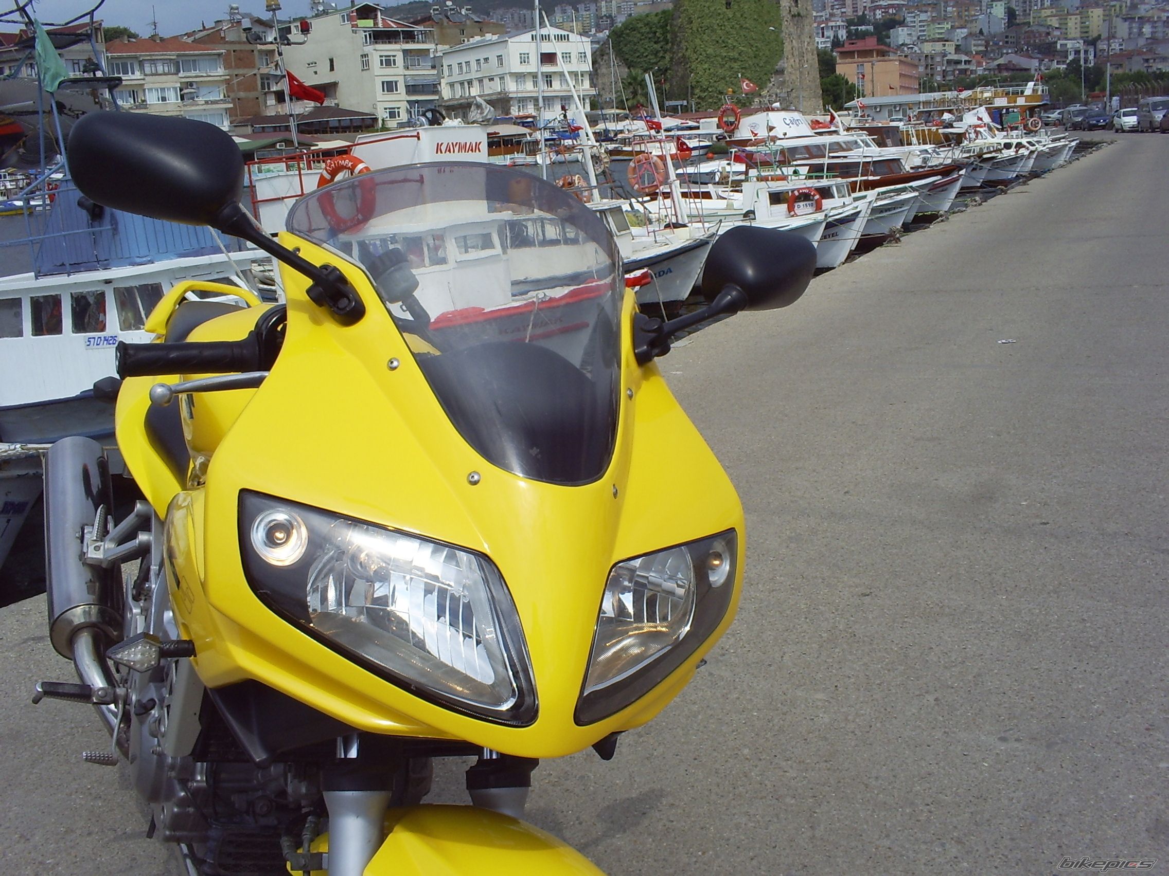 Photo 2438247
