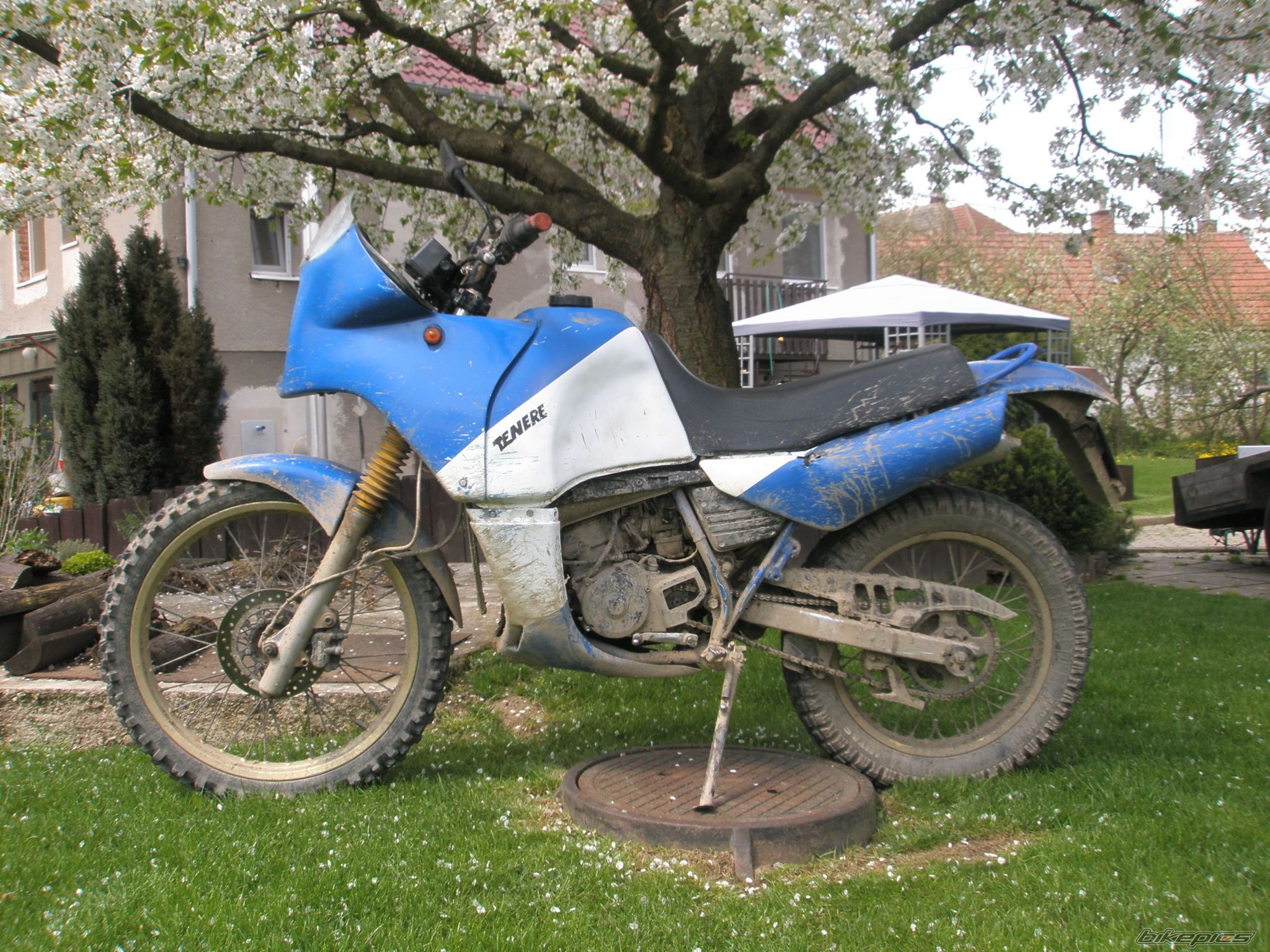 Photo 2438260