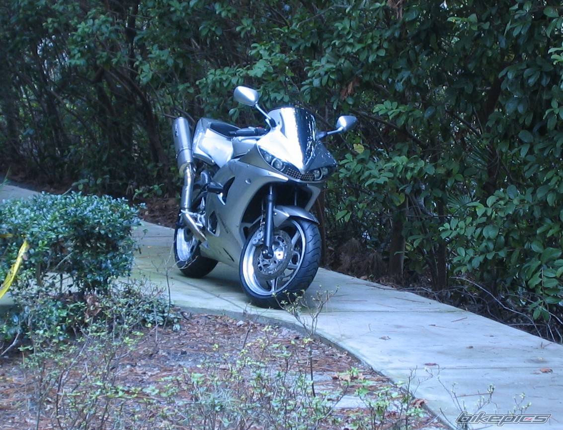 Photo 243827