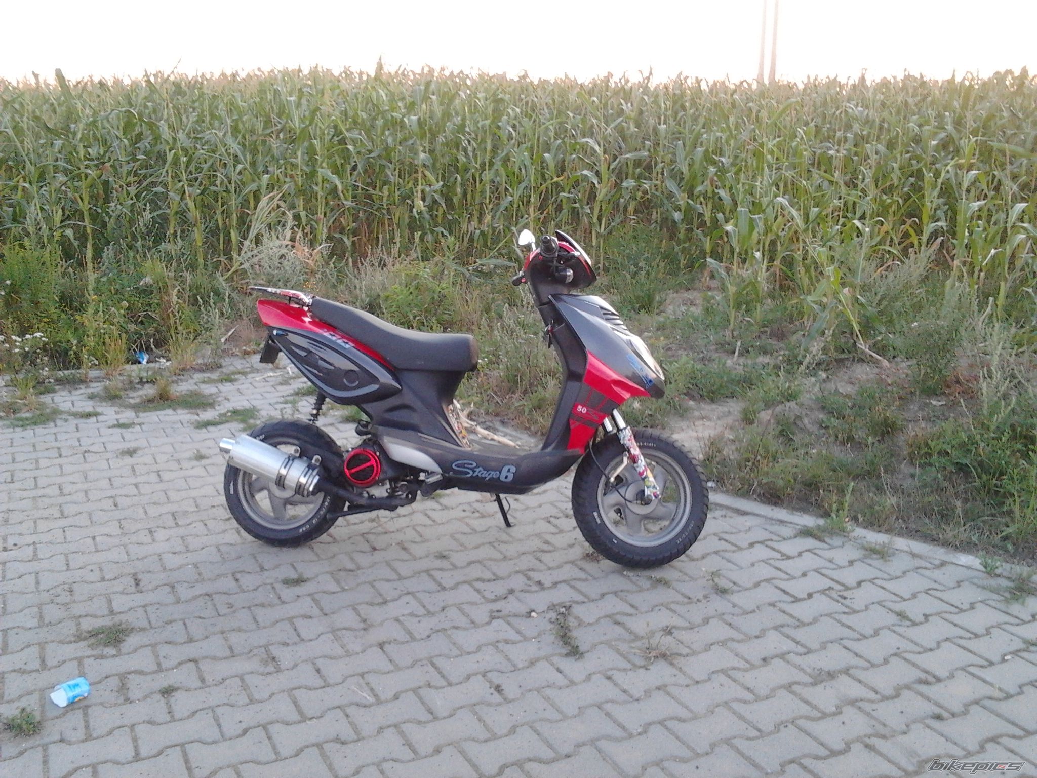 Photo 2438399