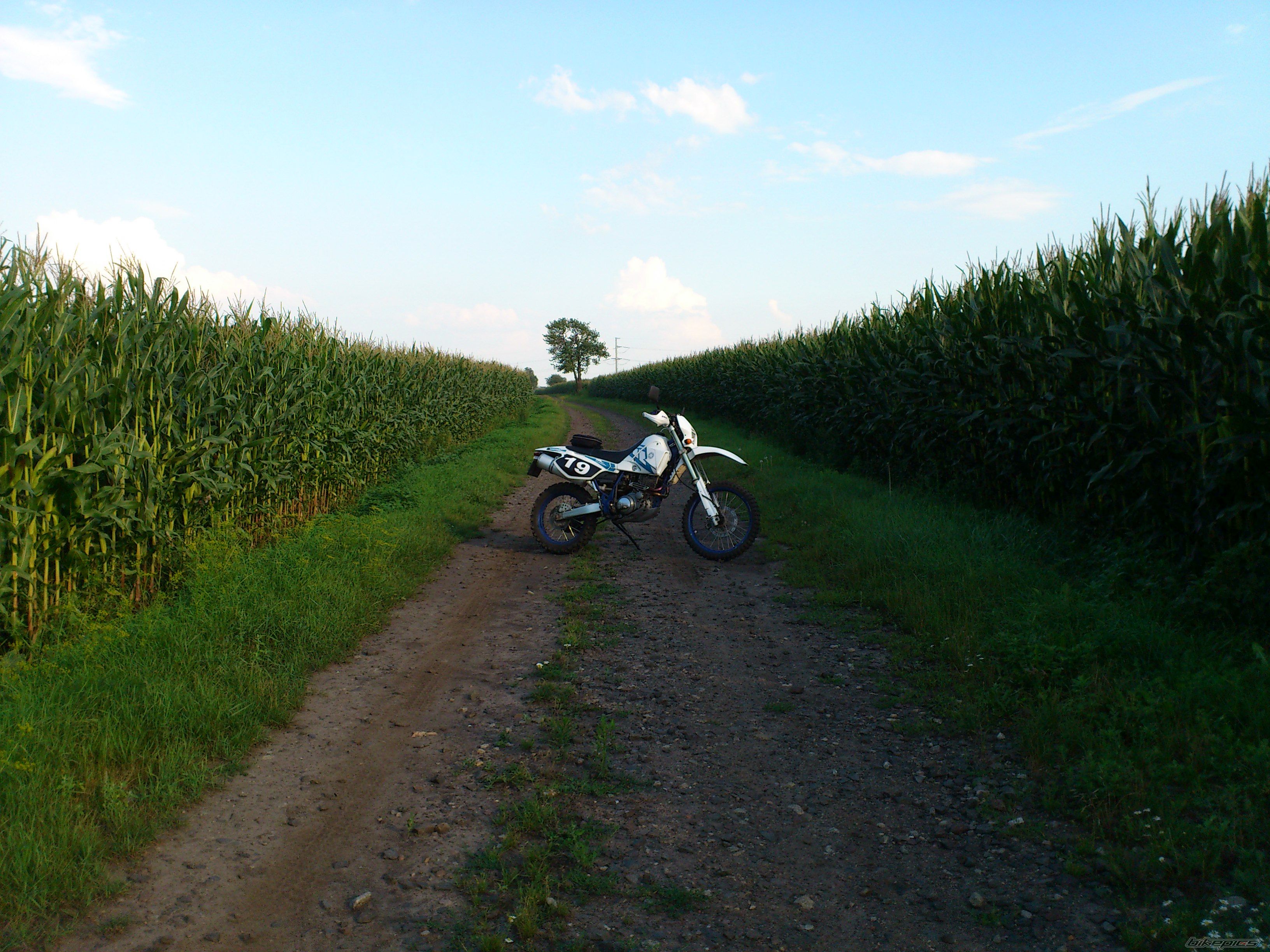Photo 2438416