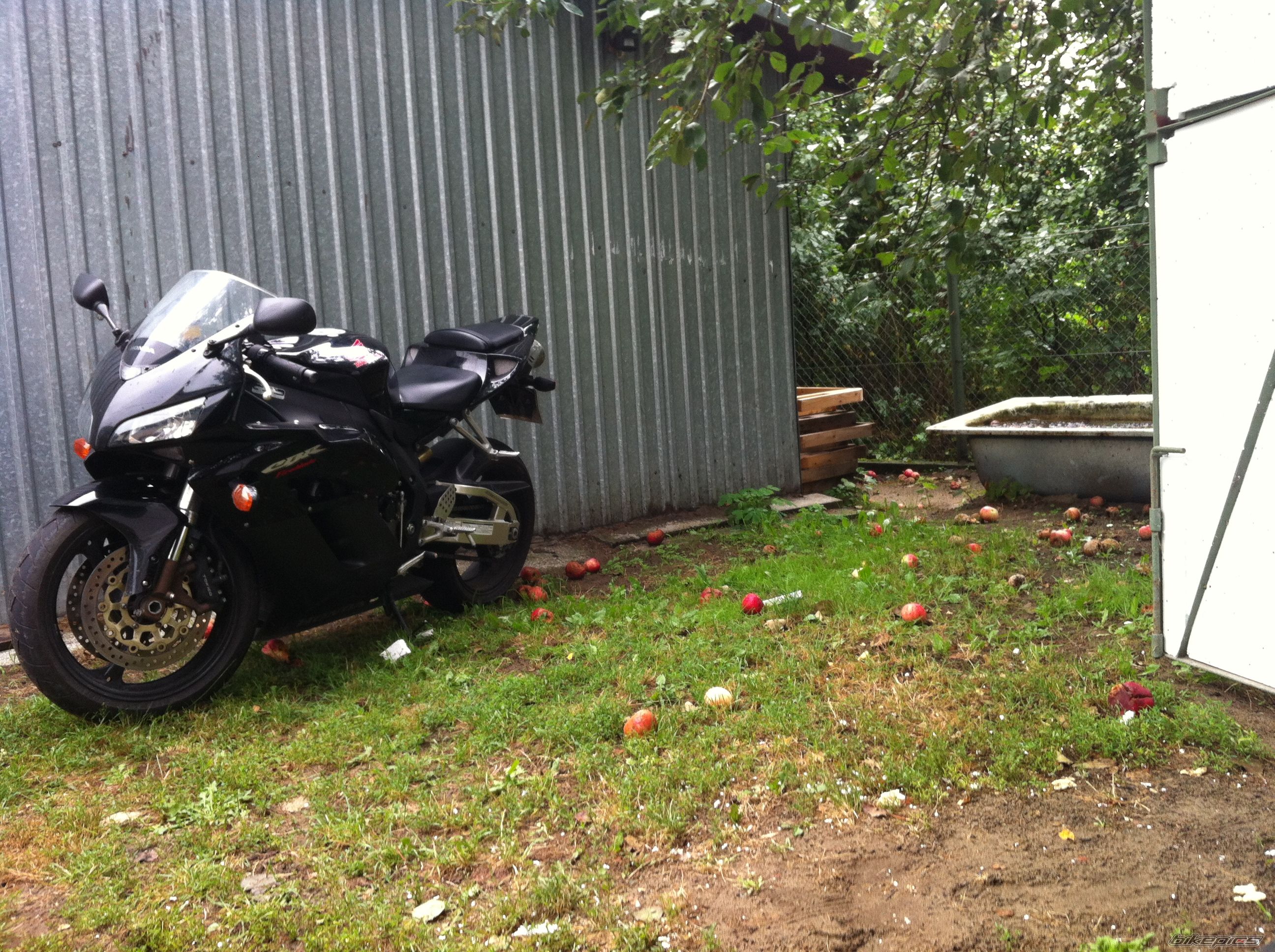Photo 2438426