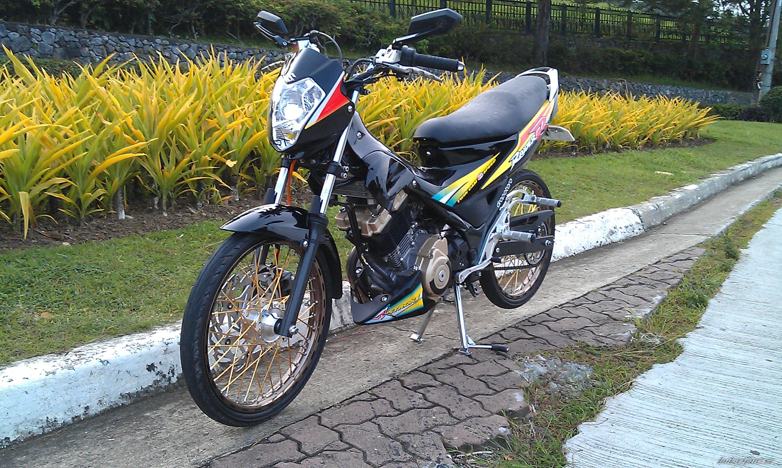 Photo 2438469