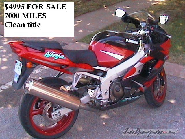 Photo 243848