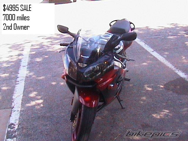 Photo 243849